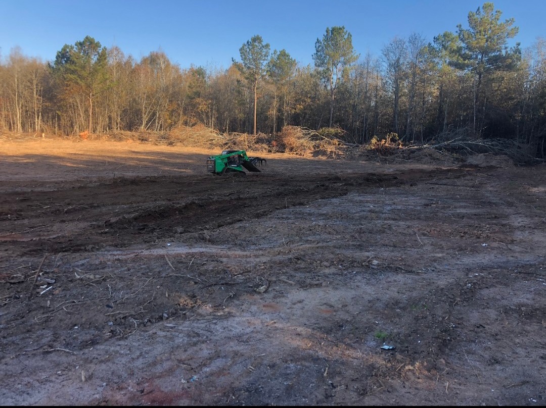 Clearing the land — where it all begins.